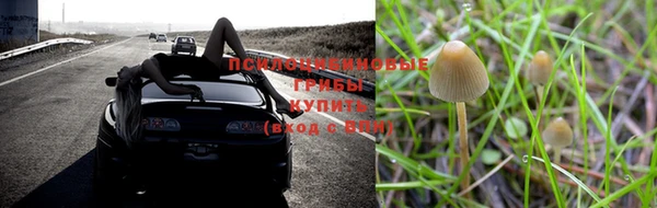 тгк Навашино