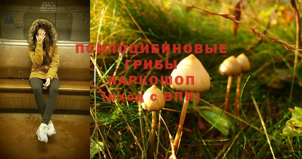 марки nbome Верея